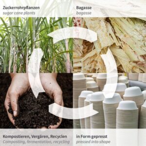 Bio Menüboxen  220 x 200 x 90 mm 250 Stk, (0,22€/Stk) – Bild 4